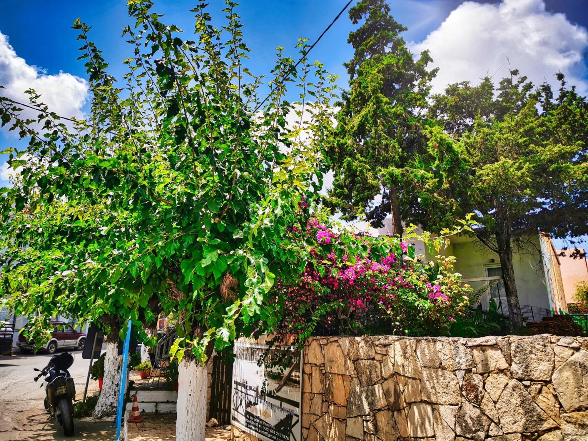 Ble Residence, Your Home Away From Home Panormos  Exterior photo